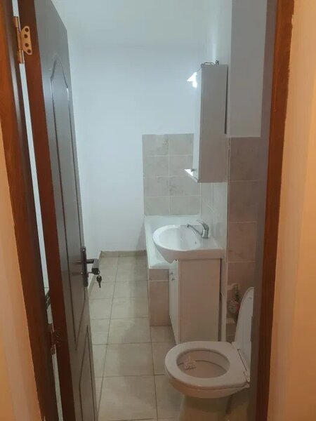 Lacul Tei, Domino Plaza, langa parcul Tei si Circului